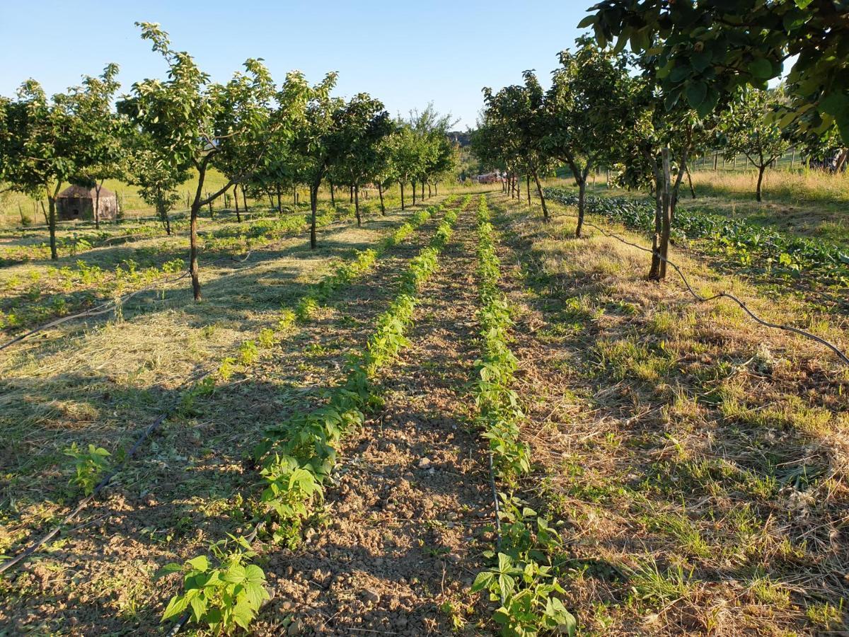 Fattoria Di Maiano Guest House Фиезоле Екстериор снимка