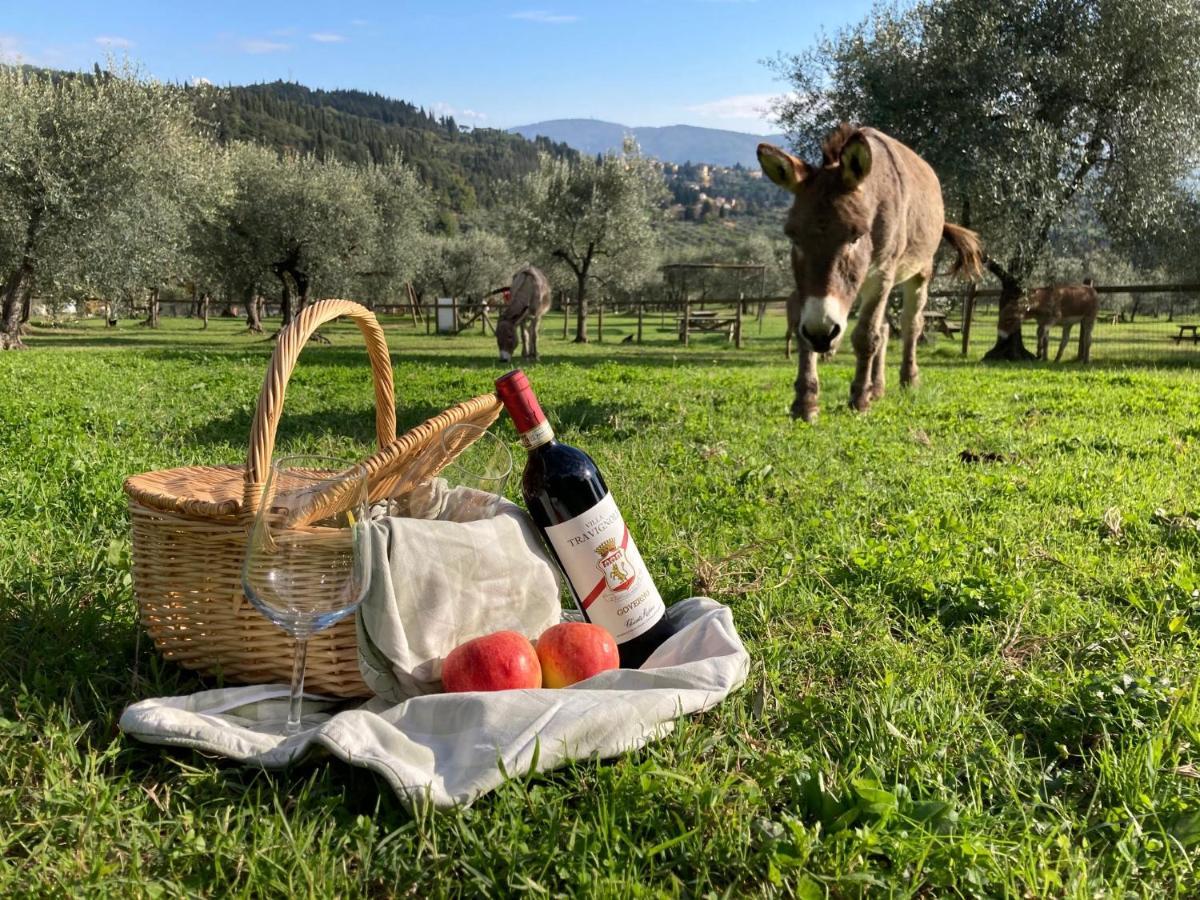 Fattoria Di Maiano Guest House Фиезоле Екстериор снимка