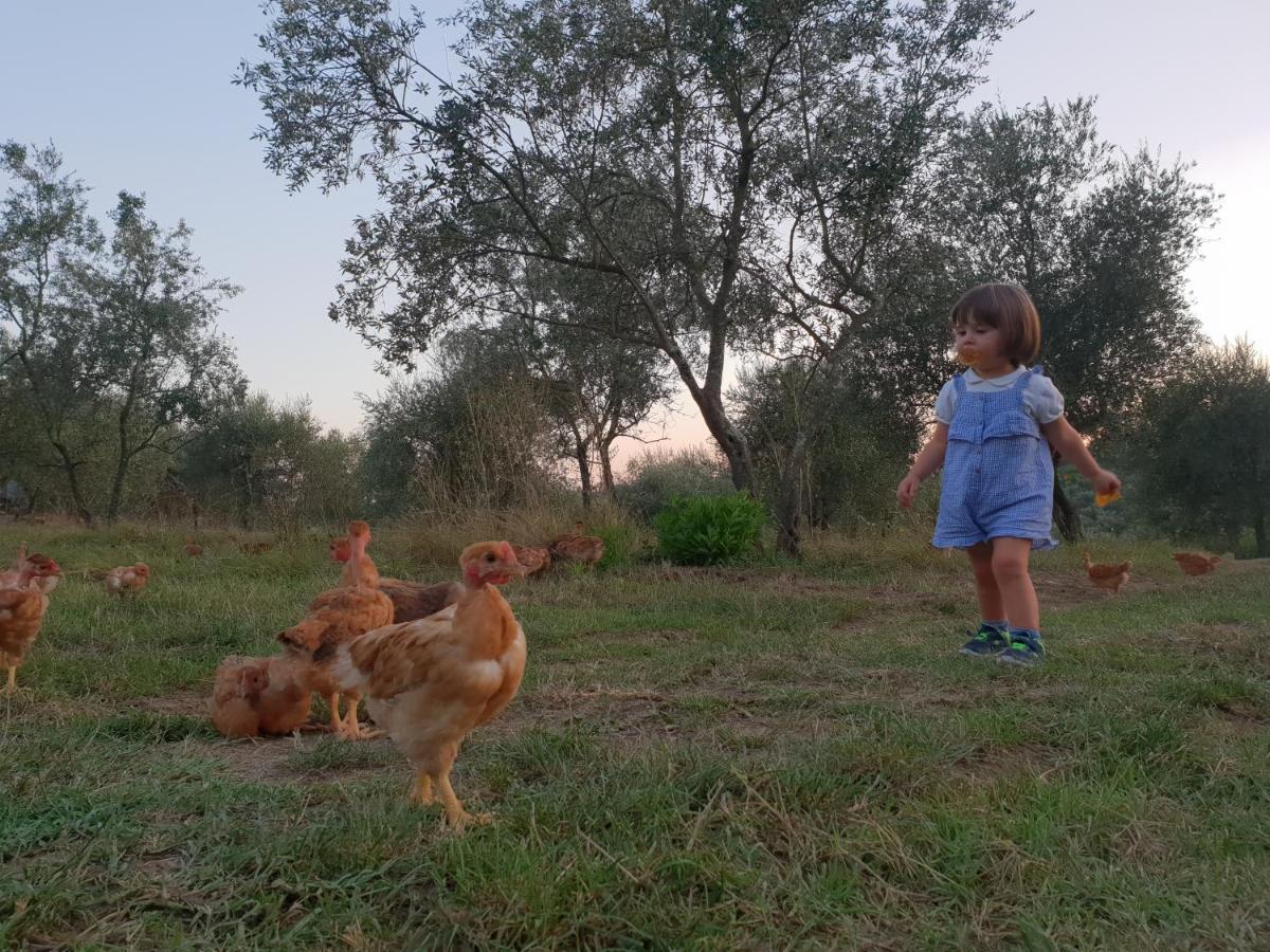 Fattoria Di Maiano Guest House Фиезоле Екстериор снимка
